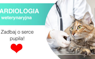 Kardiologia weterynaryjna