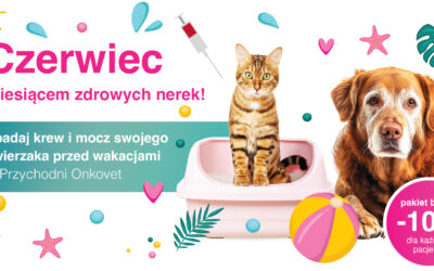 Czerwiec miesiącem zdrowych nerek