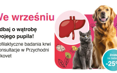 Wrzesień – miesiąc wątroby