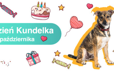 Dzień Kundelka