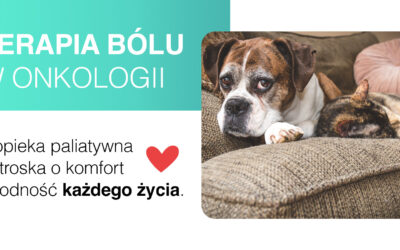 Terapia bólowa