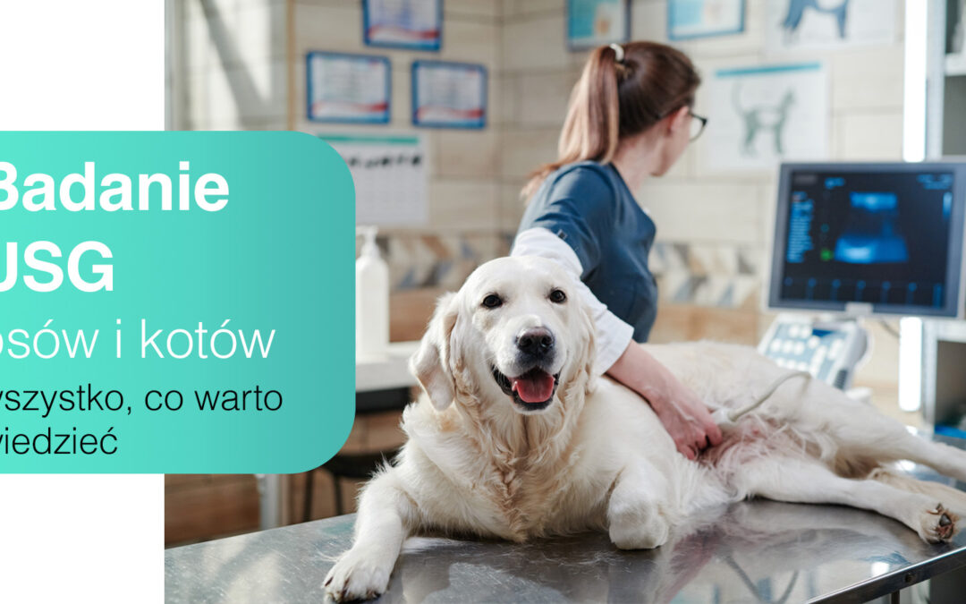 Badanie USG