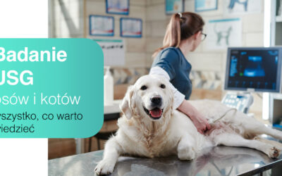  Badanie USG