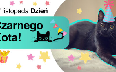 Dzień Czarnego Kota!