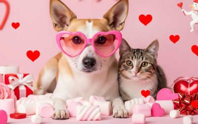 Walentynki w Onkovecie