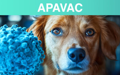 APAVAC