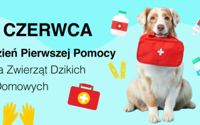 Dzień Pierwszej Pomocy dla Zwierząt Dzikich i Domowych