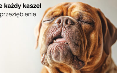Nie każdy kaszel to przeziębienie