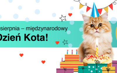 Dzień Kota