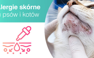 Alergie skórne