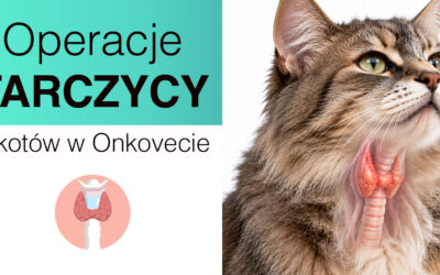Operacje tarczycy