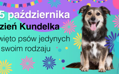 Dzień Kundelka