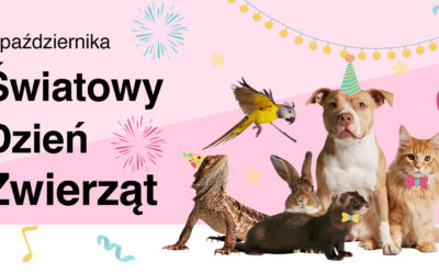 Światowy Dzień Zwierząt